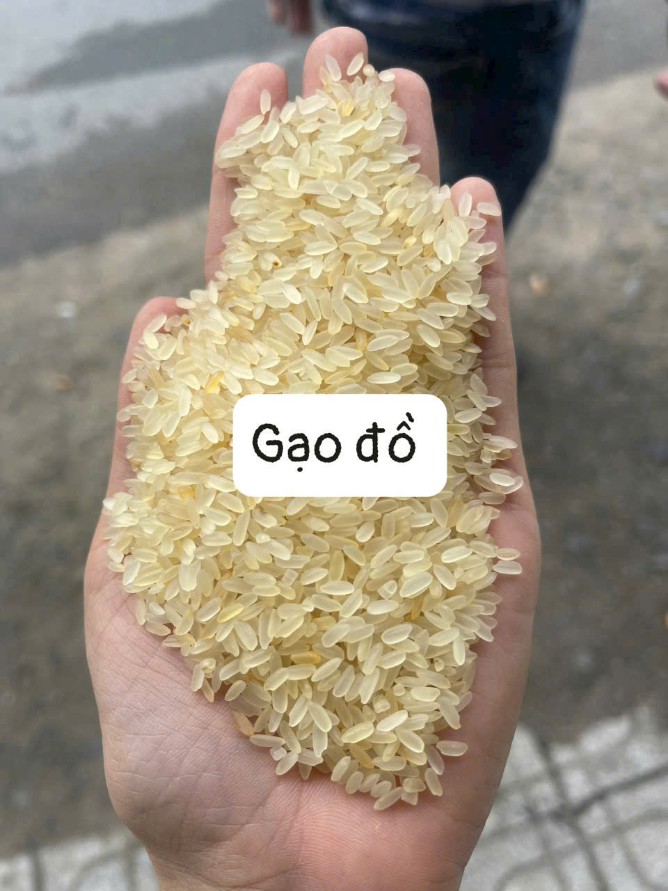Gạo Đồ – Dinh dưỡng cao, tốt cho sức khỏe