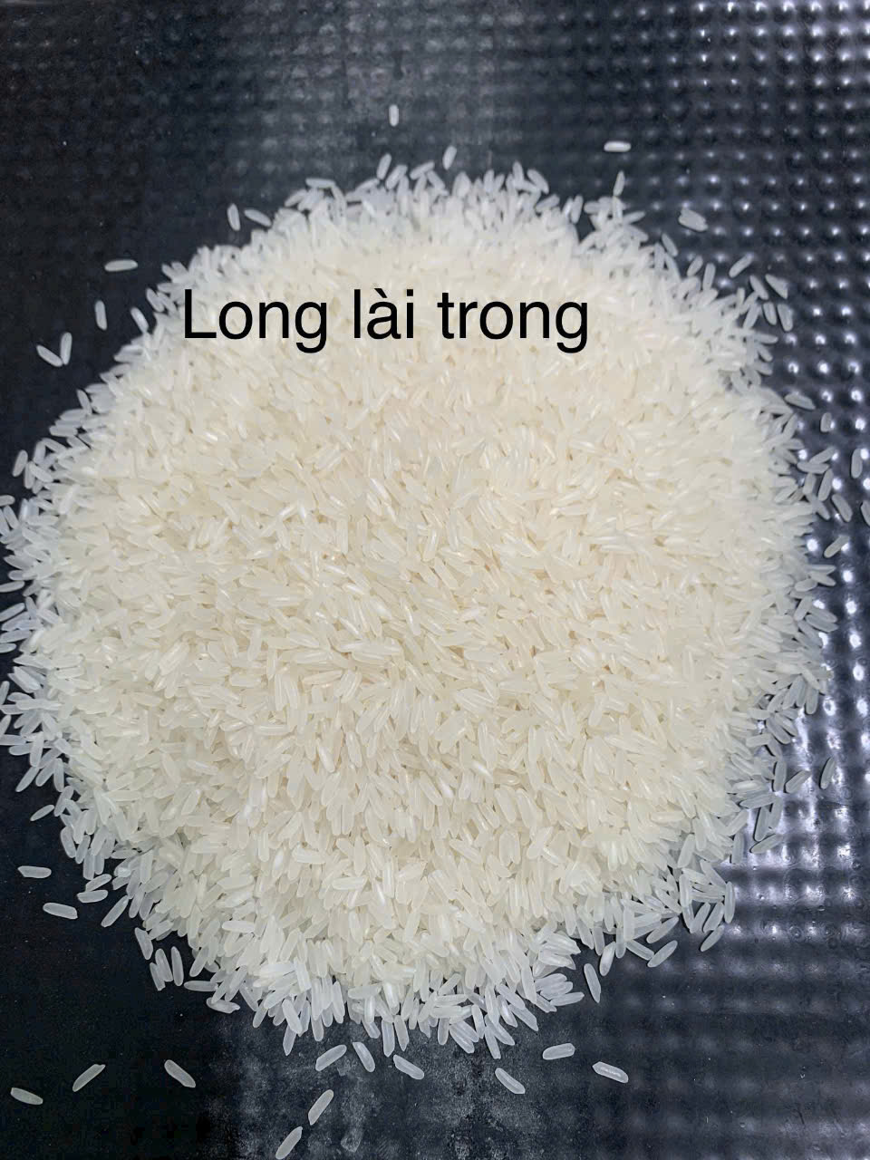 Gạo Long Lài Trong – Hạt dài, cơm trắng trong, thơm nhẹ