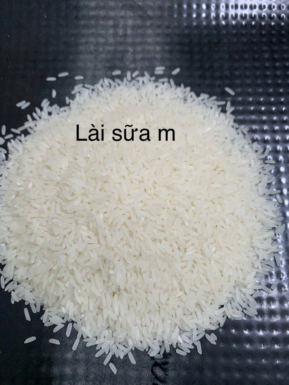 Gạo Lài Sữa M – Thơm tự nhiên, dẻo mềm tinh tế